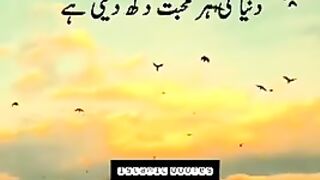 best_islamic_Quotes_about_Allah_ki_mohabbat