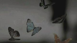 Educational videos, educational shorts, febpost videos, snack videos,  videos,  febspot, shorts, febspot videos, beautiful trending, viral, reality,