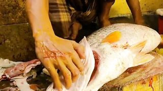 Fish Cutting skills