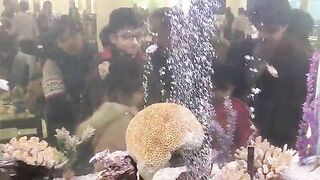 Kids enjoy