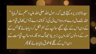 زکوٰۃ ادا کریں