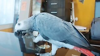 video video