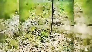 Best funny moments cats ????