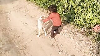 Cute Baby video