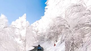 Неймовірна зима