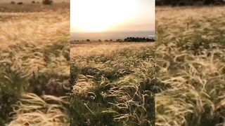 Краса природи
