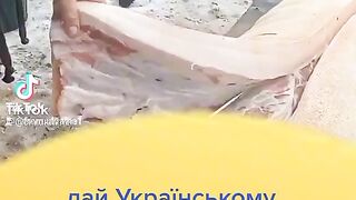 САЛО Е САЛО