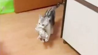 Вот...Посиди с детьми... А я с девчонками погуляю...)))