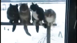 Суббота ждёт!!! Домой!!!!)))