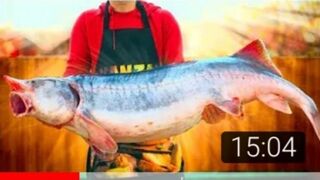 КАК?? ПРИГОТОВИТЬ ОГРОМНУЮ БЕЛУГУ  В ВЕСОМ 32 КГ