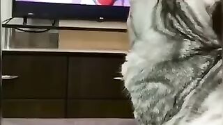 Котик 6