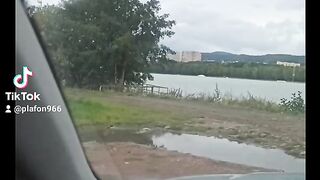 Auto audi