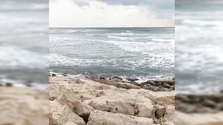 Haifa