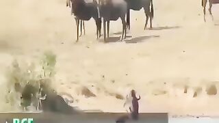 Друг это не тот с кем ты ходишь рядом......