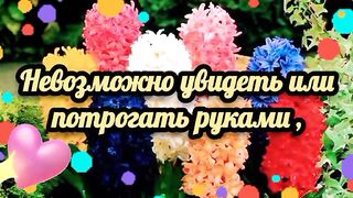 Мирного неба