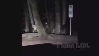 Идём лесом