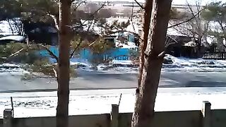 Собачка 2