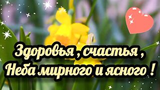 Мирного неба всім