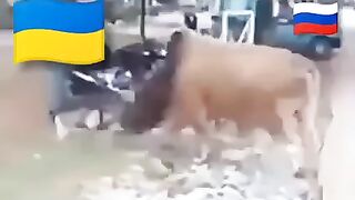 Хай буде весна