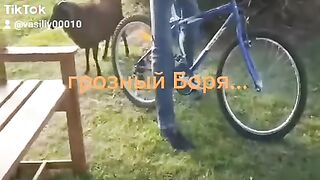 Прикольно, грозный баран
