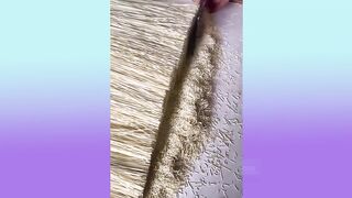 Satisfying Video with Calming and Relaxing Music that Helps to Fall Asleep