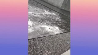 Oddly Satisfying Video with Calming and Relaxing Music that Helps to Fall Asleep Ep4