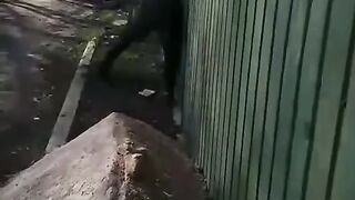 Прыколы 2