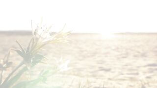Beautiful Relaxing Background Music - Sardinia Magic - relaxdaily N°078