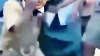 #pakistani tiktok funny compilation 2022 pakistani funny tiktok videos pakistani funny pakistani