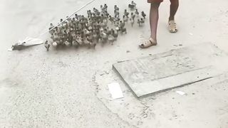 Heart touching video