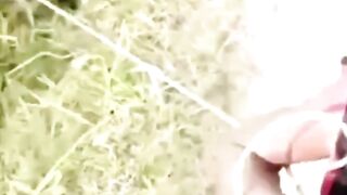Viral video viral video hai