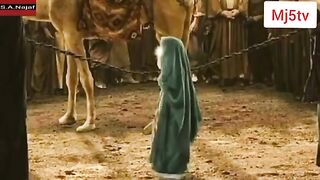 بی بی سکینہ سلام اللہ علیہا کی شہادت