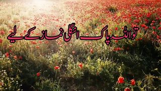 Islamic Status what app status beautiful voice
