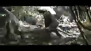Dinosaur fighting video