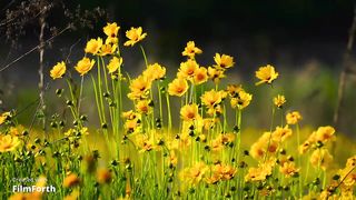 relaxing music, my creation