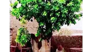 Raining in our village .