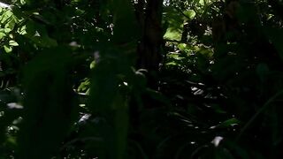 Lost Season 1 Episode 12