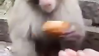 Wowww