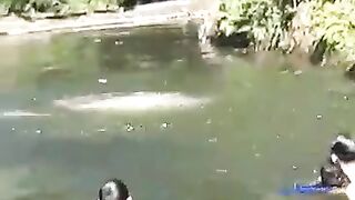 Swimming
