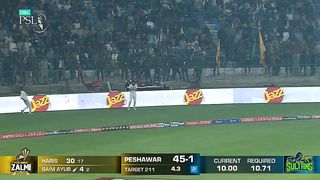 Cricket short