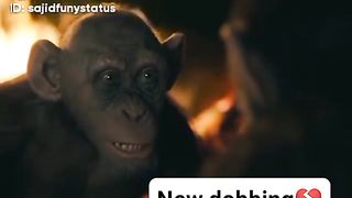 New Monkey Funny Video # amazing fun 2023