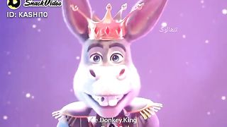 New Cartoon # Donkey King Part 13 Latest animated cartoon 2023
