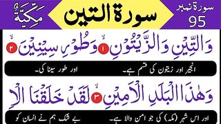 Surah At Teen full With Translation  Surah Teen  Surah At Tin.