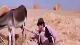 New Funny Video # best fun 2023