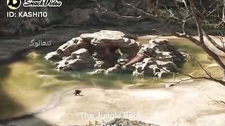 The Jungle Book # Mowgli cartoon part 2-animated cartoon 2023