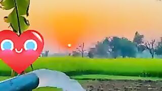 Farmer