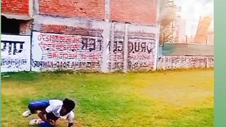 Perfact catching in ground #febspot #cricket #short #videos #feb #spot #febspotvideo