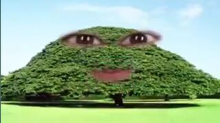 Funny video 2 | viry funny video