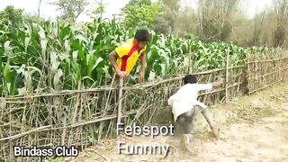 Vegetable Robery | Funnny