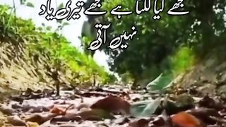 Heart touching line ????❤️❤️